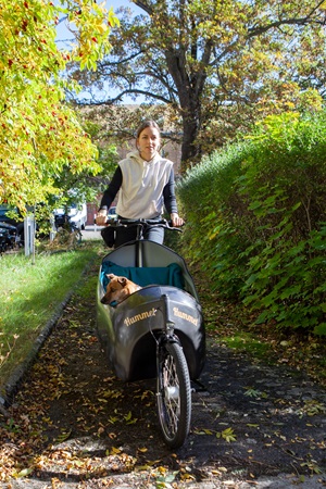Frau fährt mit Hund im Cargobike; Hecke, Büsche und Baum im Hintergrund